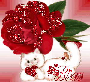 Bisous chat rose gif