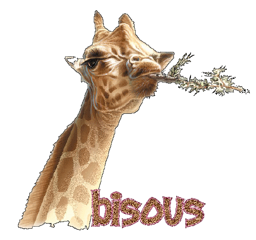 Résultat de recherche d'images pour "girafe gif"