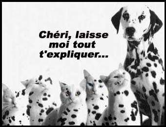 Chéri laisse-moi t'expliquer