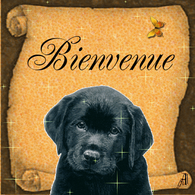 Ma petite présentation Hf3kq3oc