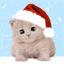 Noël chat gif