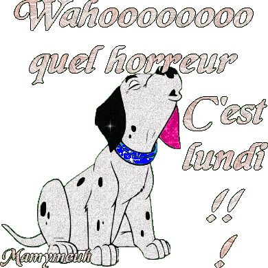 Résultat de recherche d'images pour "gifs chat dur les lundis"