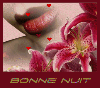 Bonne nuit