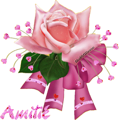 Amitié rose