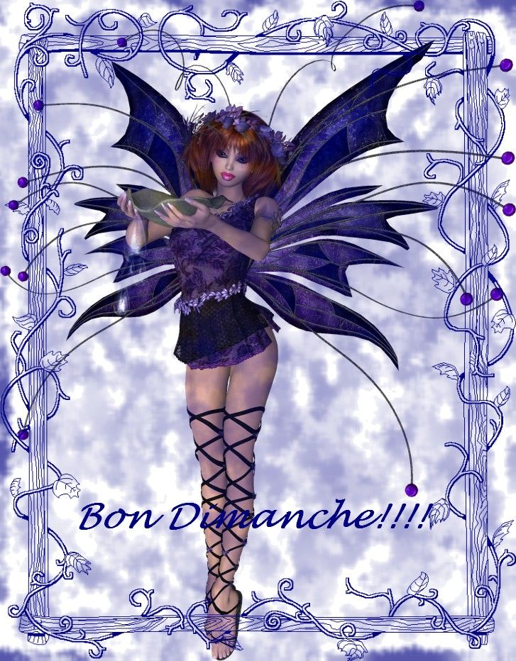 Bon dimanche fée